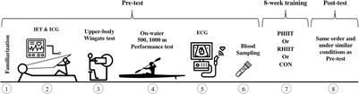 Effects of a New Form of Resistance-Type High-Intensity Interval Training on Cardiac Structure, Hemodynamics, and Physiological and Performance Adaptations in Well-Trained Kayak Sprint Athletes